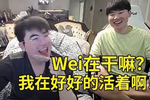 Wei被姿態(tài)貼臉問“Wei在干嘛”當場難繃：我在干嘛？我好好活著！