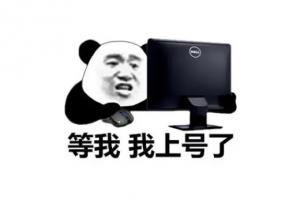 為什么lol一般是adc和apc能當(dāng)核心其他位置很難，而dota的力量敏捷智力都能當(dāng)核心？