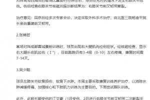 重傷！國安官方：斯帕吉奇右膝前叉韌帶撕裂，將接受前叉韌帶重建