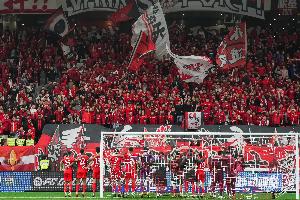 東體：海港方面對(duì)俱樂(lè)部吉祥物暫未回應(yīng)，但大家有所共鳴