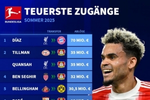 德甲今夏引援榜：迪亞斯7000萬斷崖領(lǐng)跑，蒂爾曼&寬薩領(lǐng)銜藥廠5將