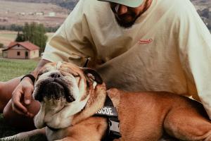 漢密爾頓告別愛犬：Roscoe在我懷中離開，安樂死的決定很痛苦