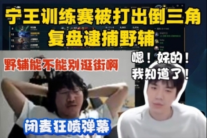 Ning解說杯訓(xùn)練賽被打出倒三角 賽后復(fù)盤逮捕野輔 閉麥狂噴彈幕！