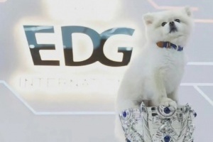 EDG隊寵Nice去了汪星？昨晚Nice微博賬號更新：永遠(yuǎn)愛奈奈