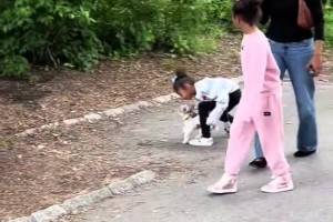 粉絲在紐約的一個(gè)公園偶遇布萊恩特一家～