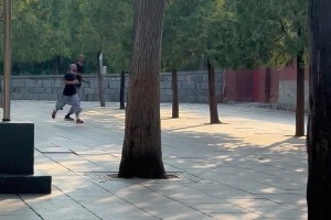 歲月靜好！文班儼然已經(jīng)融入少林寺