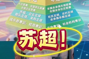 董路：蘇超沒有必要跟國足比，老范說話的語氣可能是接受不了