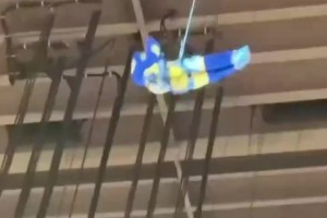 這錢不白賺！步行者吉祥物：印第安納不養(yǎng)閑人！