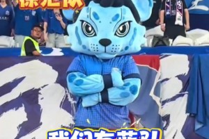 蘇超聯(lián)賽爆火后，網(wǎng)友暢想上海版“滬超” ,“沒有假球,全是世仇!”