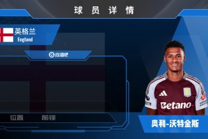 沃特金斯集錦:進(jìn)球手段多樣 跑位靈動(dòng)的強(qiáng)力前鋒