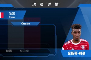 科曼球員集錦：曾效力多國(guó)聯(lián)賽 榮譽(yù)滿滿的邊鋒