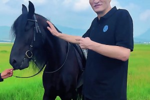 跟約老師PK一下哈！巴特爾草原上騎馬 結(jié)果馬直接罷工不走了~