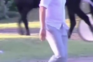 考神：約基奇說履行完合同就退役回家陪他的馬！而不會拿3億續(xù)約