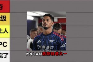 厄德高頂級(jí)??女博主評(píng)選：阿森納新賽季球員實(shí)力排行榜